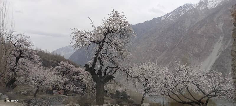 Kamaris Gulmit Gojal Hunza - Image 3