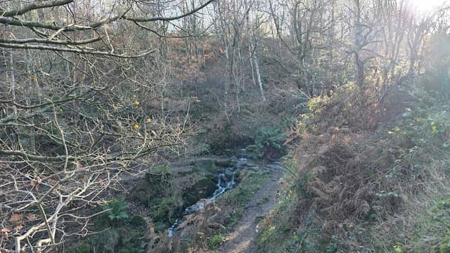 Lodge Lane Open Space - Image 2