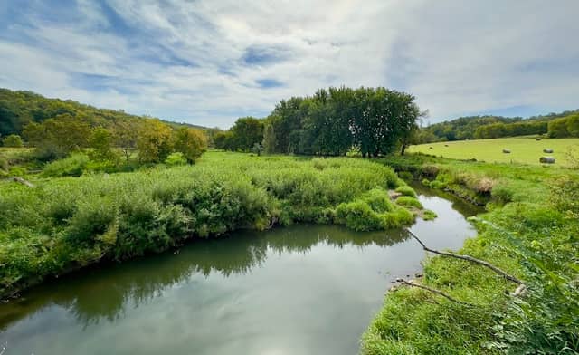 Cannon River Aquatic Management Area - Subunit 3 - Image 1