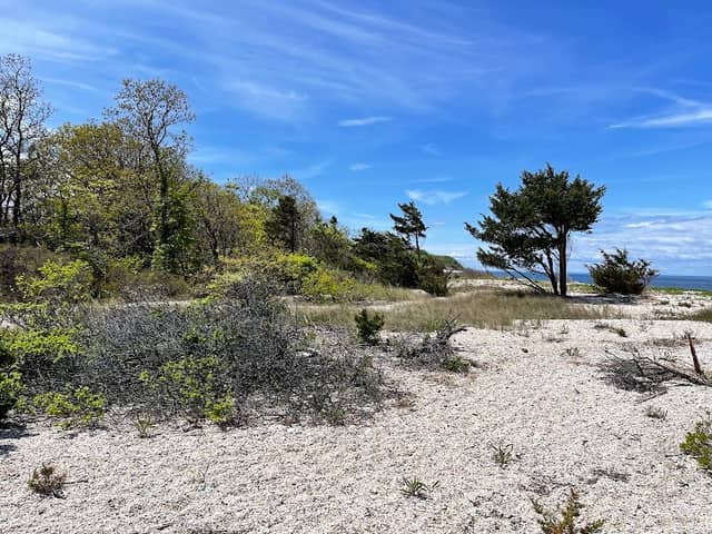 Flax Pond Wetland Trailhead - Image 1