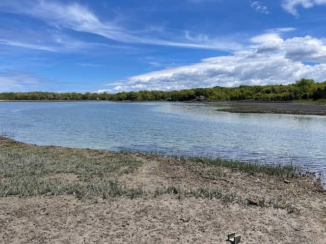 Flax Pond Wetland Trailhead - Image 3