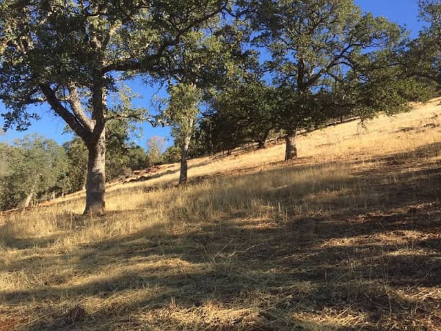 Conestoga Park Trailhead - Image 1