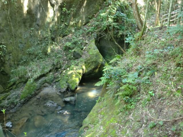 山科の大桑層化石産地と甌穴 - Image 1