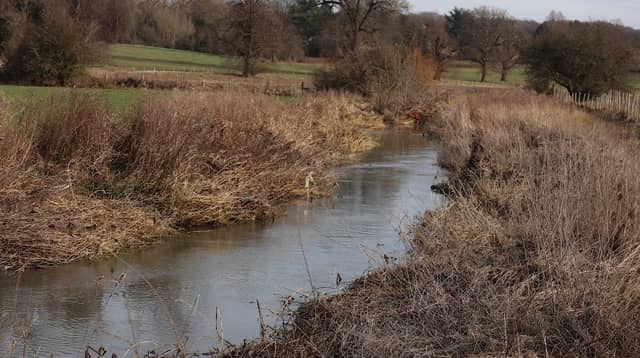 Wicksteed Water Meadows Nature Reserve - Image 2
