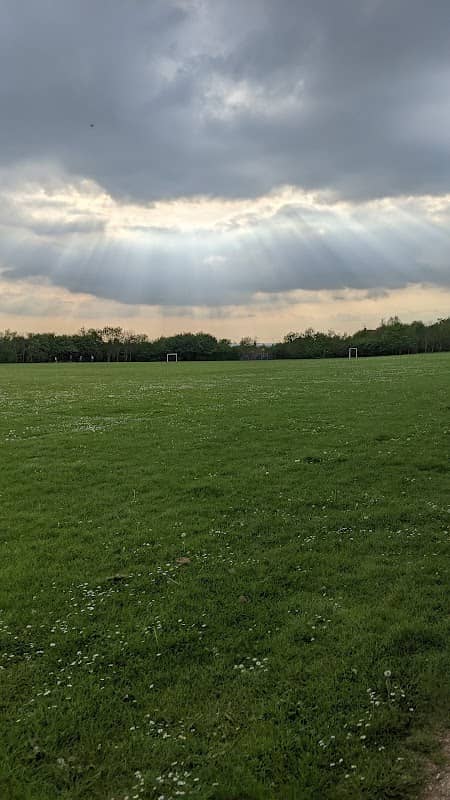 Barlborough Country Park - Image 2