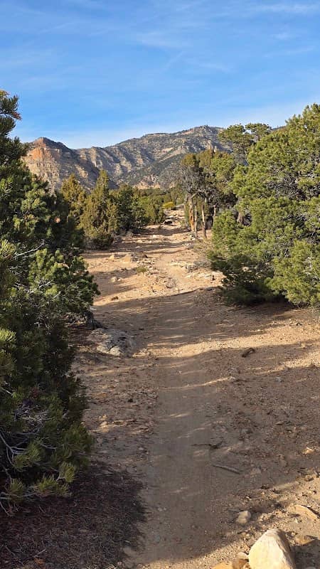 Ponder Trailhead - Image 1