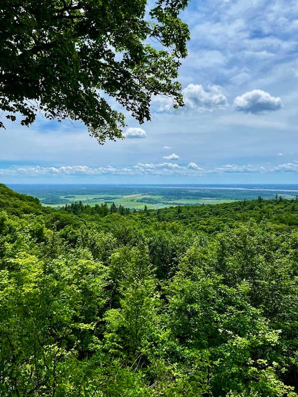 Belvédère Huron - Image 1