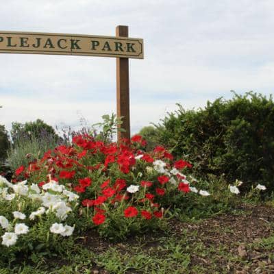 Apple-Jack Park - Image 1