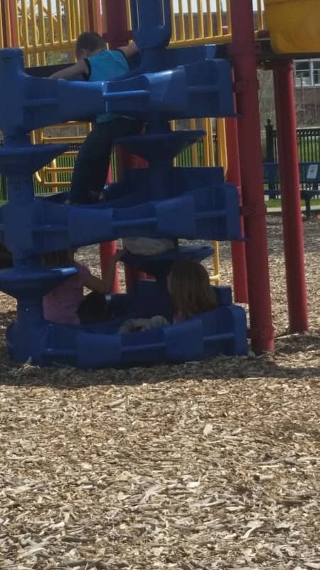 Saunderson Park - Image 2