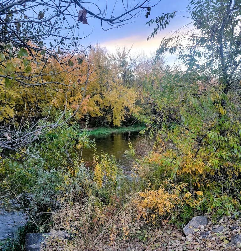 Rotary Pond Park - Image 1