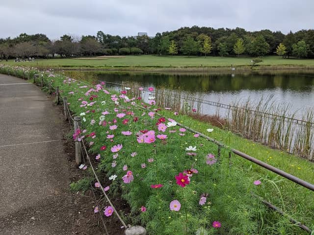 Shukei Pond - Image 1