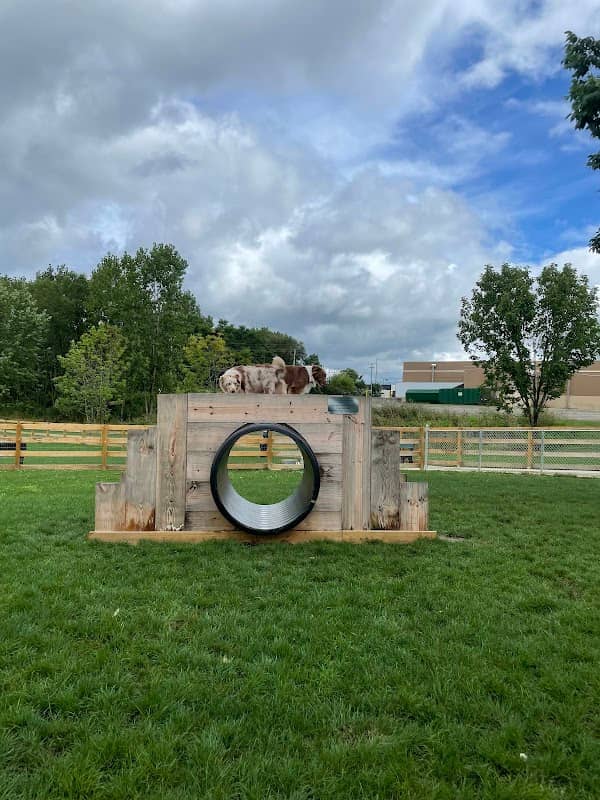 Alliance Dog Park - Image 2