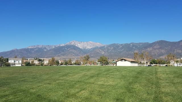 Olive Grove Park - Image 4