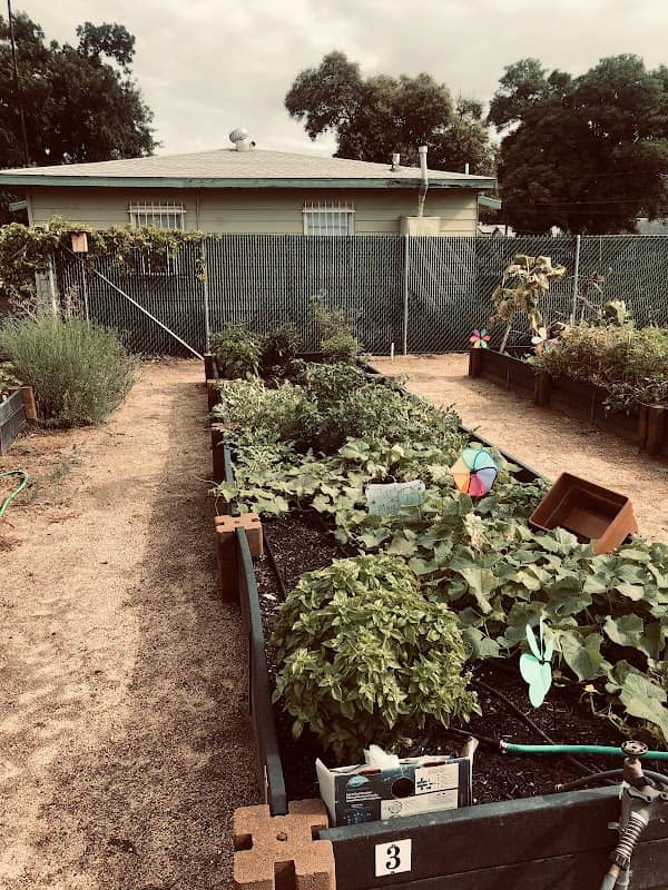 City of Rialto Community Garden - Image 2