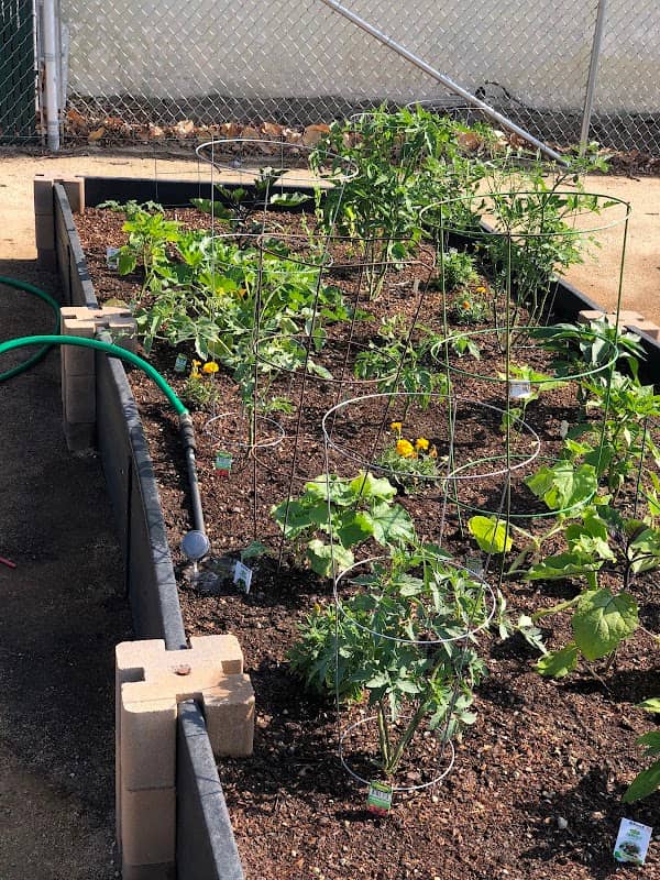 City of Rialto Community Garden - Image 1