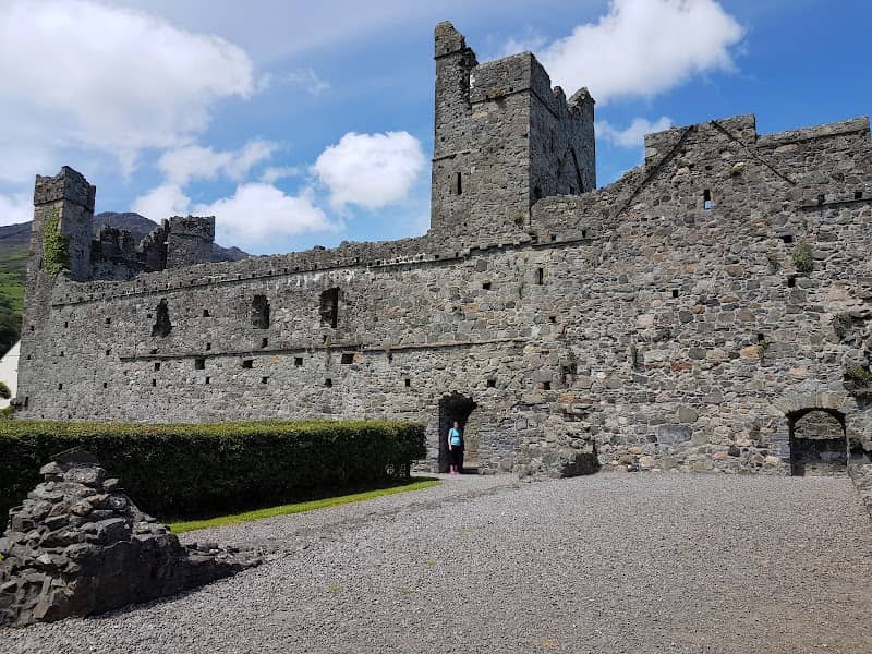 Carlingford Priory - Image 1