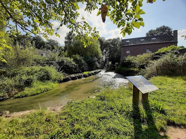 Nekummerwatermolen - Image 3