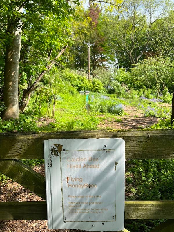 Incredible Edible Prestwich & District - Philips Park site - Image 1