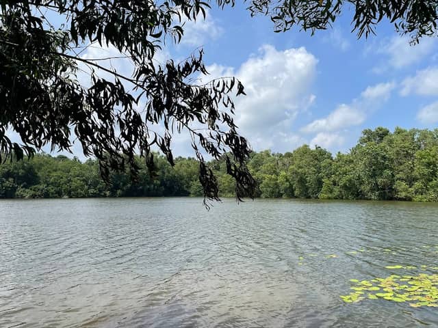 Anathazhachira - Image 1