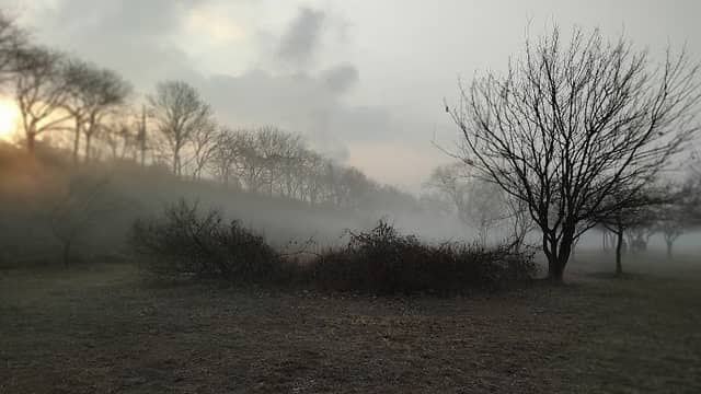 오야돌담길공원 - Image 2