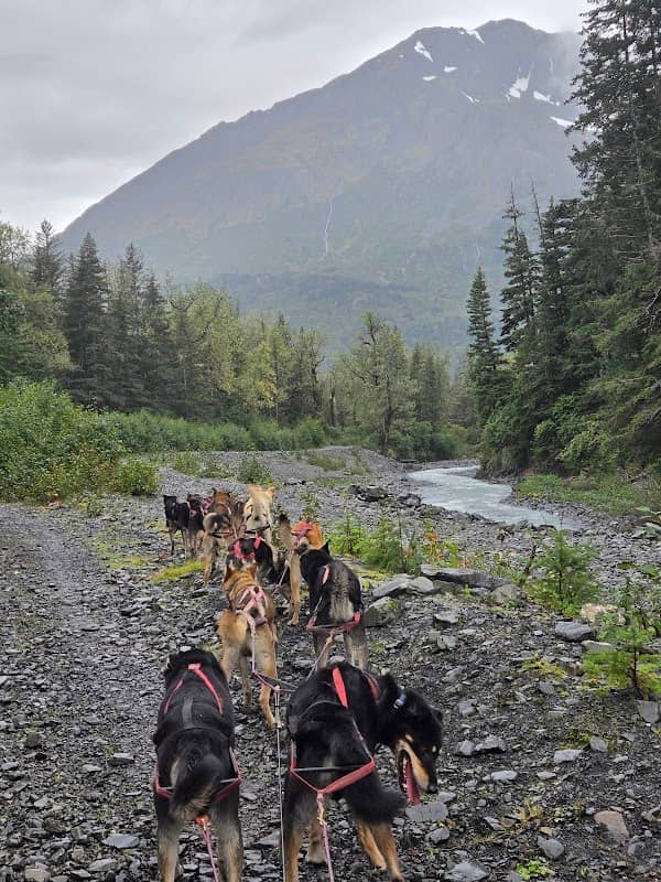 IdidaRide Sled Dog Tours - Image 3