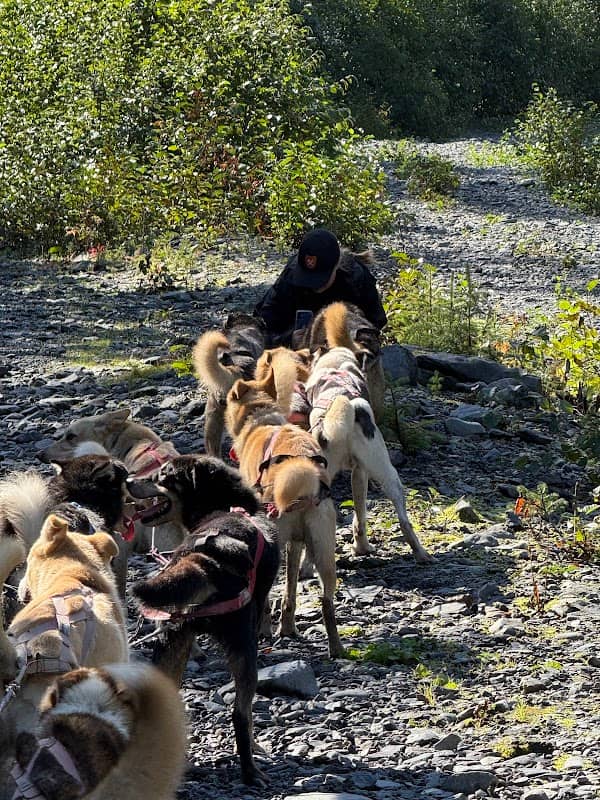 IdidaRide Sled Dog Tours - Image 2