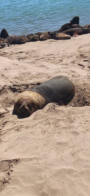 Descanso de Lobos Marinos - Image 1