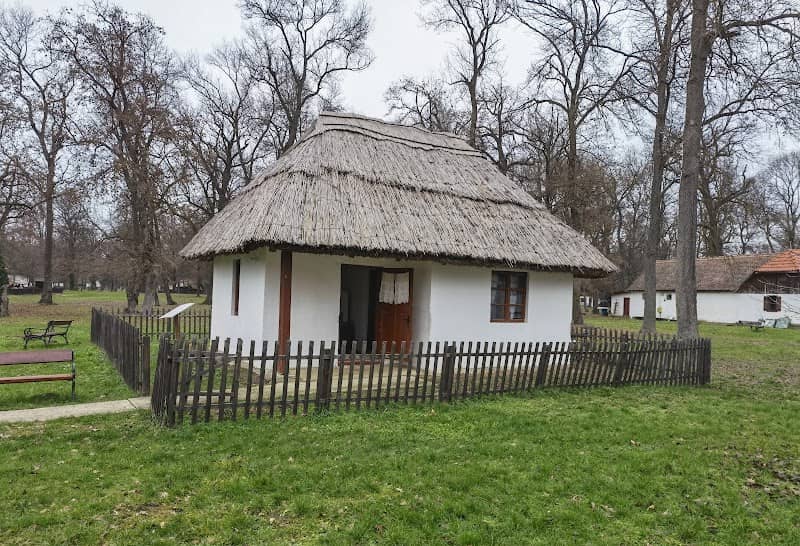 Banat Village Museum - Image 3