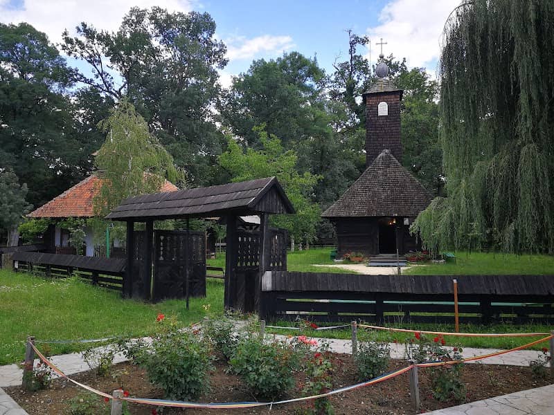 Banat Village Museum - Image 2