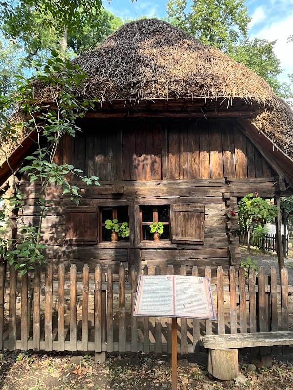 Banat Village Museum - Image 1