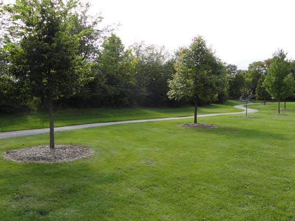 Presidential Park - Image 2