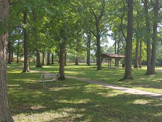 Lion's Park - Image 1