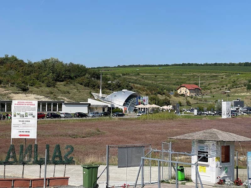 Durgau salt lakes - Image 2