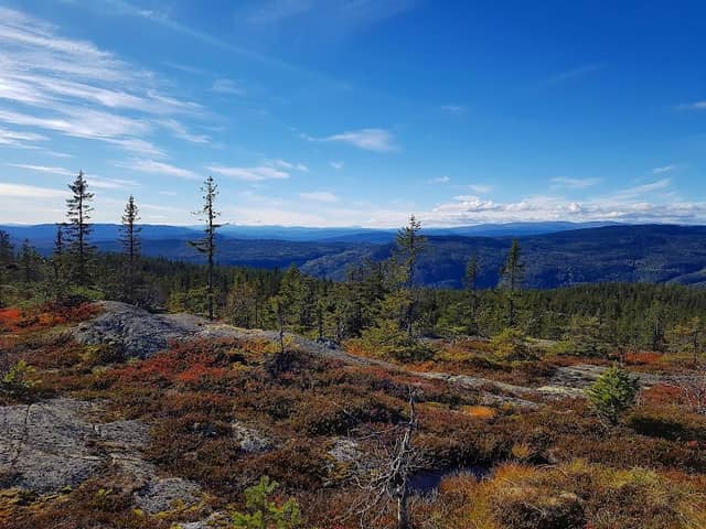 Kongsgardskollen - Image 1