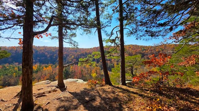 Kings River Overlook - Image 2