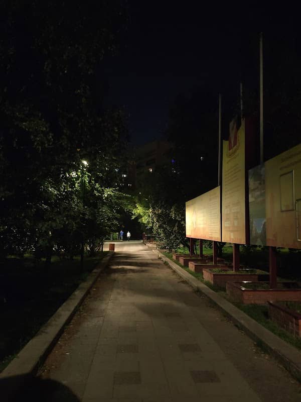 Alleya Slavy - Image 1