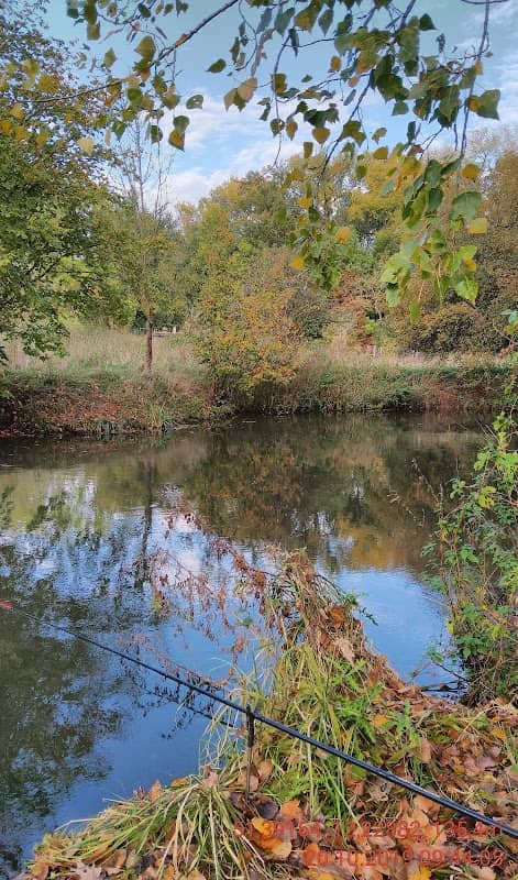 Altscherbitzer Park - Image 2