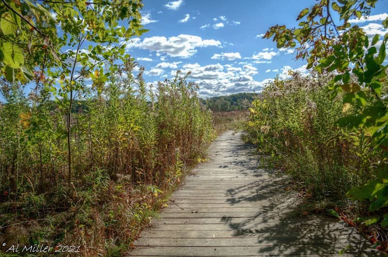 Wake Robin Boardwalk Trail - Image 1