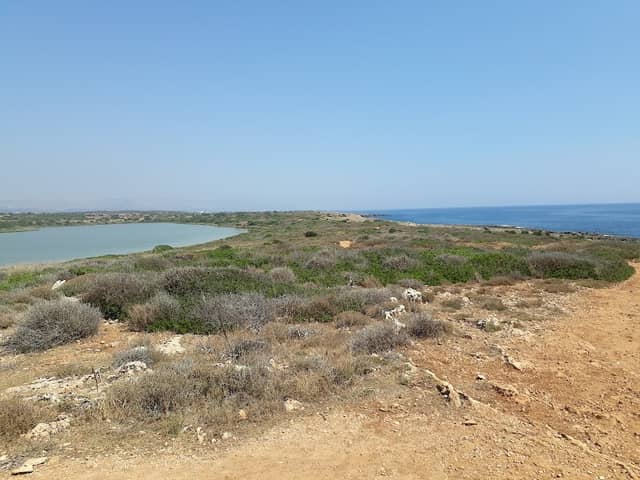 Observation point - Image 1