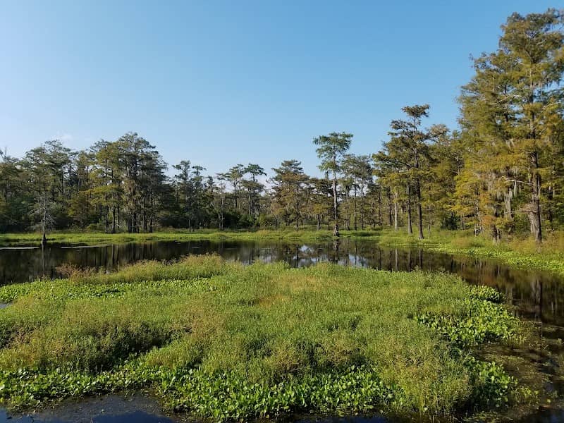 Dungannon Plantation Heritage Preserve/Wildlife Management Area - Image 2