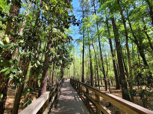 General Coffee State Park - Image 3