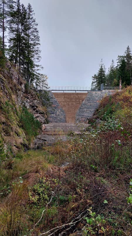 Viskafors Storsjön Damm - Image 1