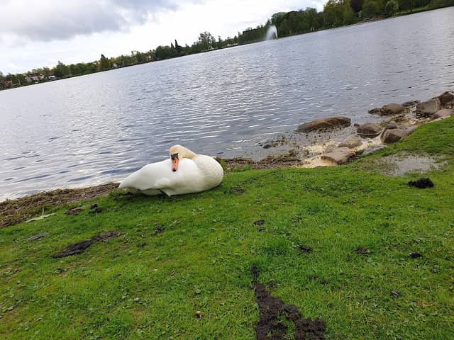 Ingsbergssjön - Image 1