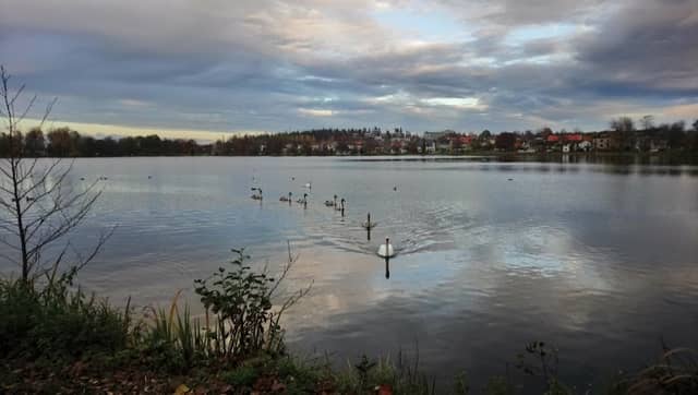 Ingsbergssjön - Image 2