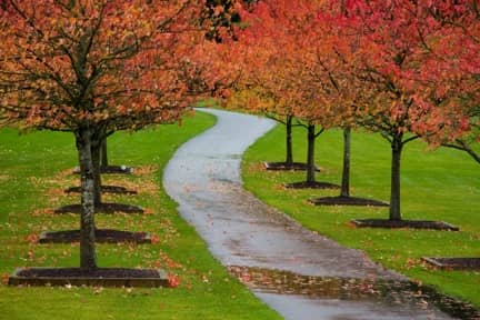 South Whidbey Community Park - Image 2