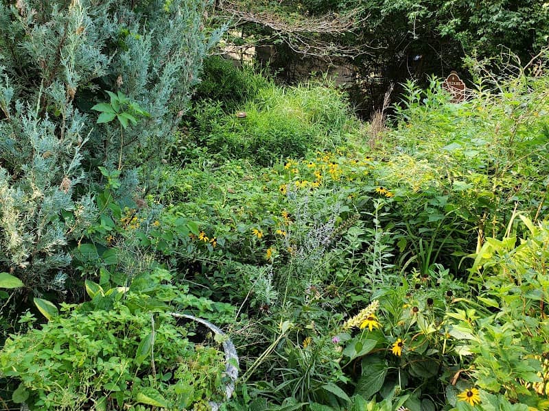 St. Mary's Island Wildlife Management Area - Image 2