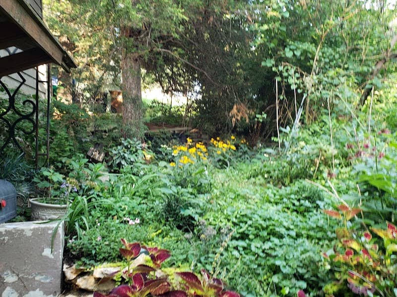 St. Mary's Island Wildlife Management Area - Image 1