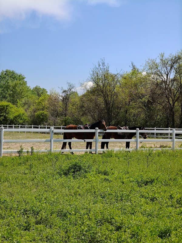 Gardabani Park (Horse Riding Club) - Image 1