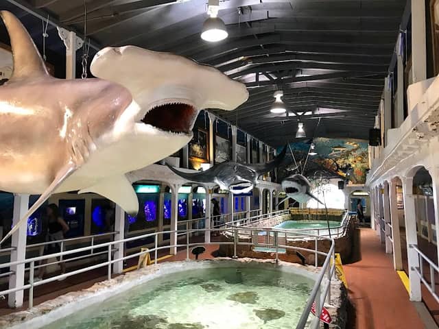 Key West Aquarium - Image 2