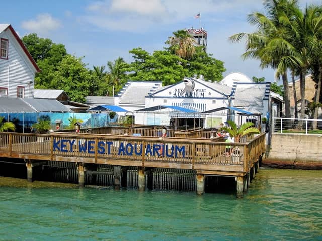 Key West Aquarium - Image 3